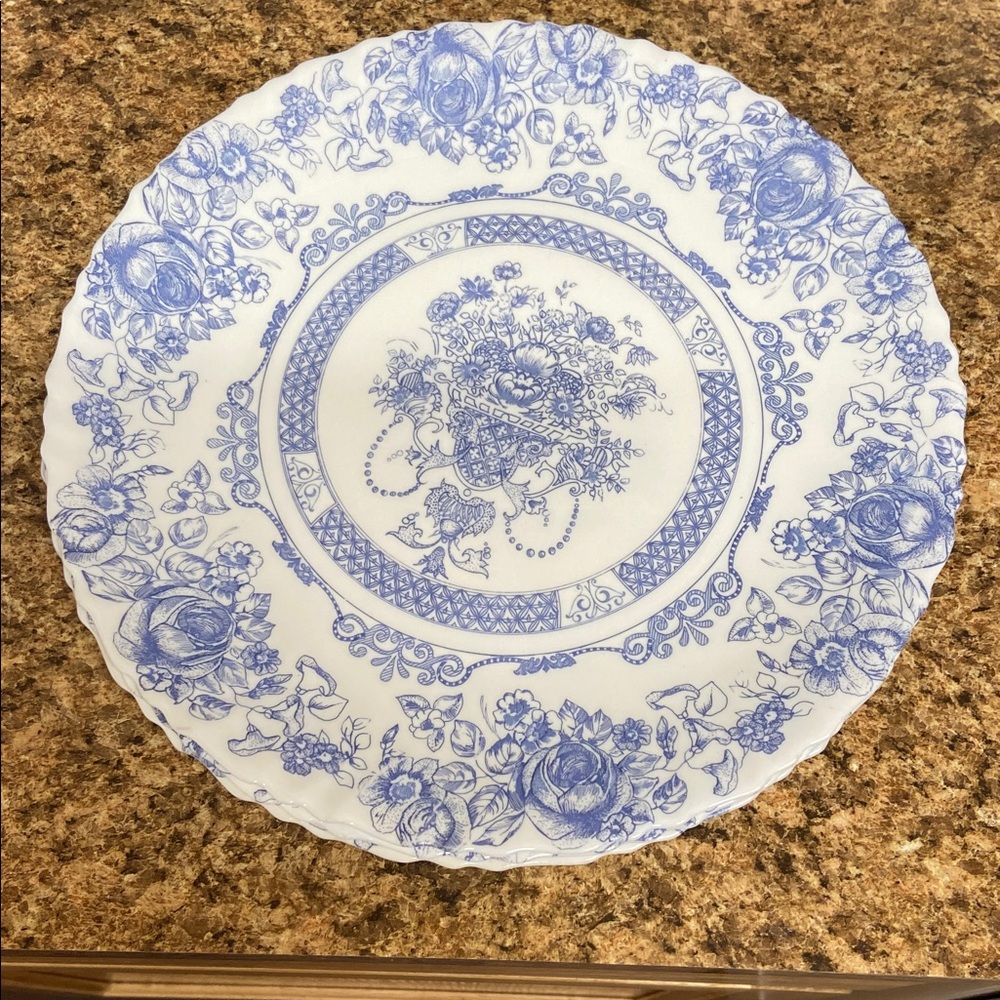 ARCOPAL France Dinner Plates